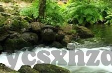 2018最新伦理-2018最新伦理，在科技与人性之间的微妙平衡