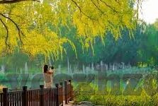 麻豆传媒app破解版下载免费版下载ios-「无视风险，拒绝非法下载，麻豆传媒App的辨识与正确态度」
