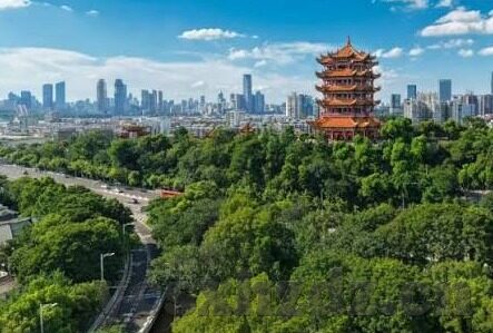 麻豆传煤app网站路口-麻豆传煤app，互联网时代下的信息传播新路口