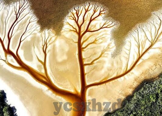 麻豆剧果冻传媒视频-麻豆剧果冻传媒视频，网络文化的新视角与反思