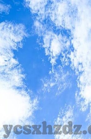 人妻中文视频-人妻中文视频，理解与尊重的视角